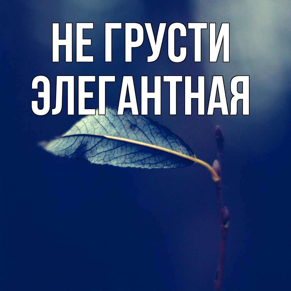 Открытка на каждый день с именем, элегантная Не грусти растение Прикольная открытка с пожеланием онлайн скачать бесплатно 