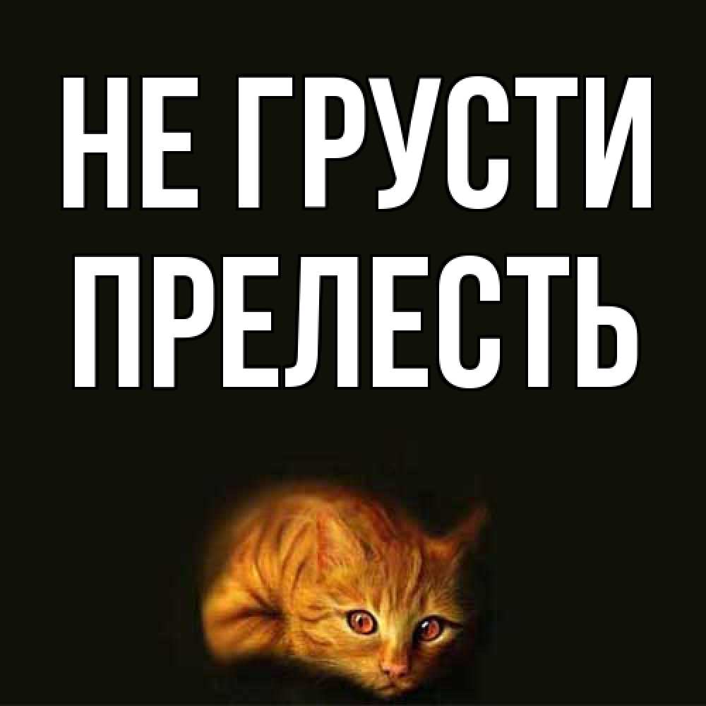 Открытка на каждый день с именем, Пpелесть Не грусти лежащий кот в темноте Прикольная открытка с пожеланием онлайн скачать бесплатно 
