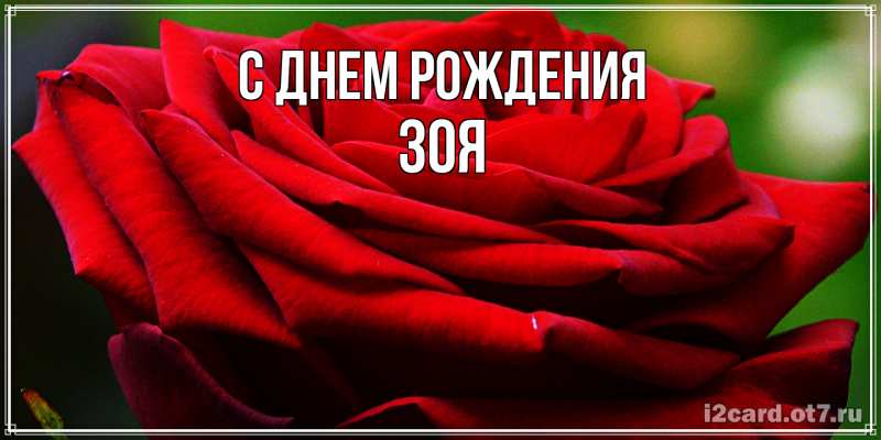 Картинка С днем рождения, Зоя
