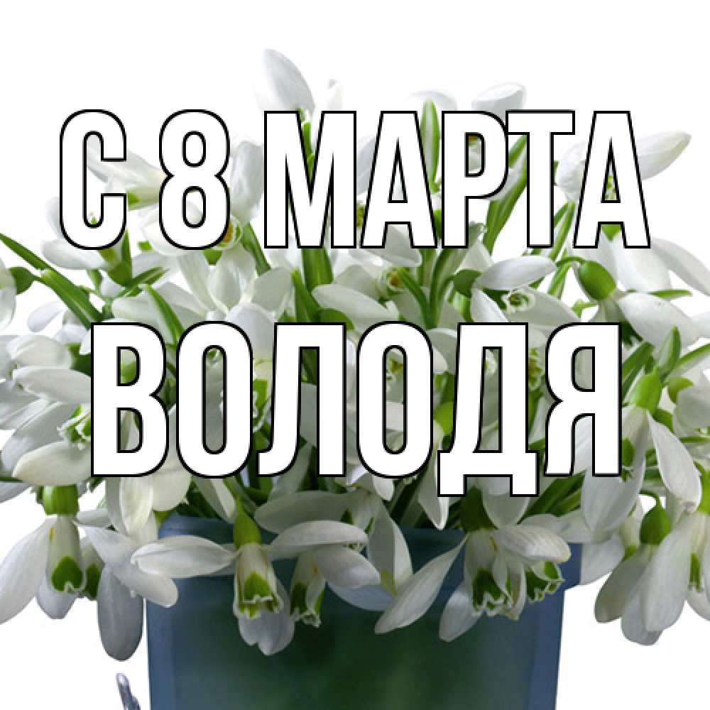 Открытка на каждый день с именем, Володя C 8 МАРТА цветы к международному женскому дню Прикольная открытка с пожеланием онлайн скачать бесплатно 