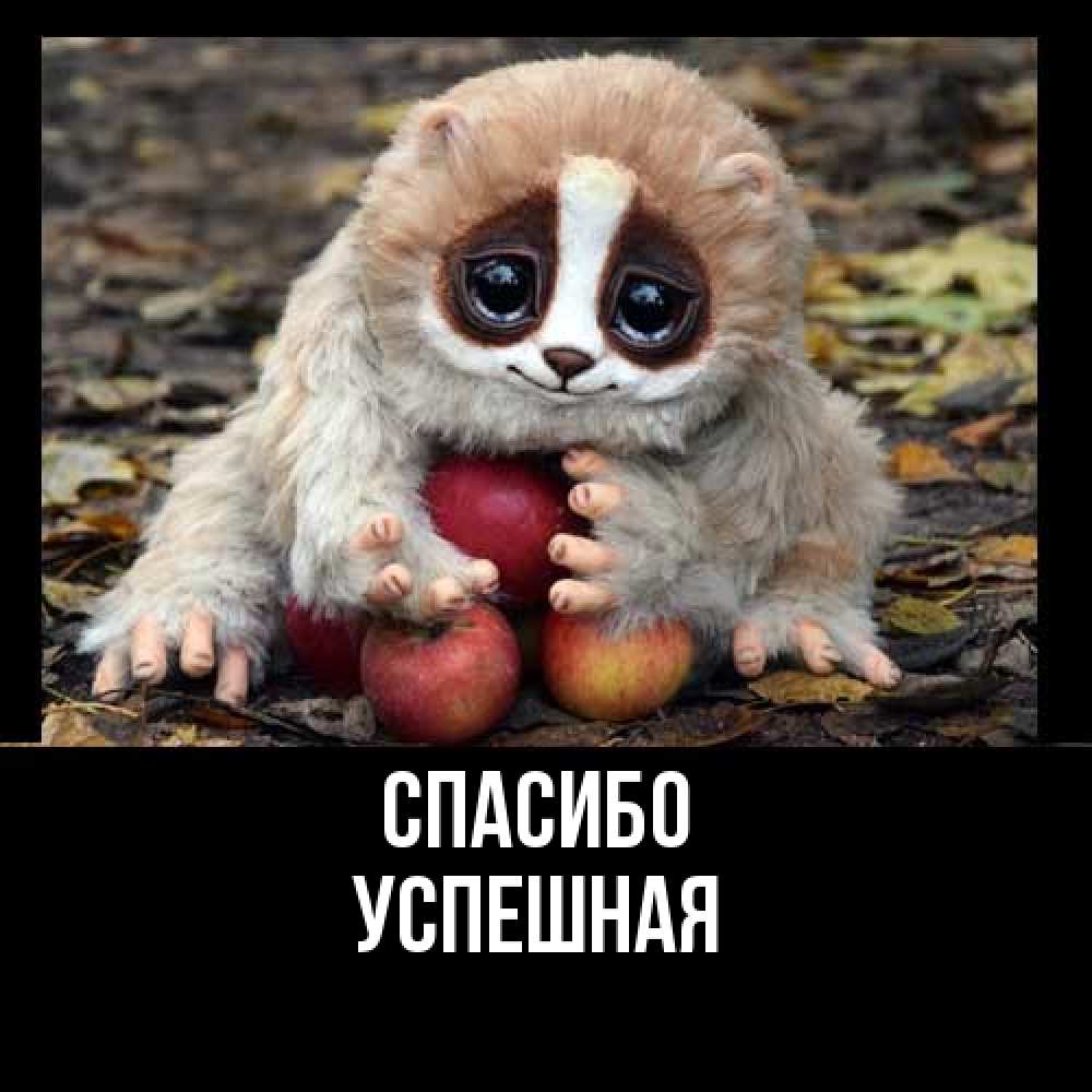Открытка на каждый день с именем, Успешная Спасибо прикольное животное Прикольная открытка с пожеланием онлайн скачать бесплатно 