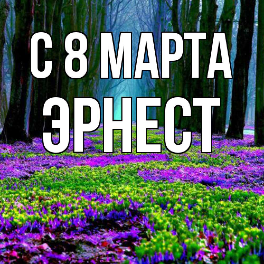 Открытка на каждый день с именем, Эрнест C 8 МАРТА фиолетовые цветы в лесу 1 Прикольная открытка с пожеланием онлайн скачать бесплатно 