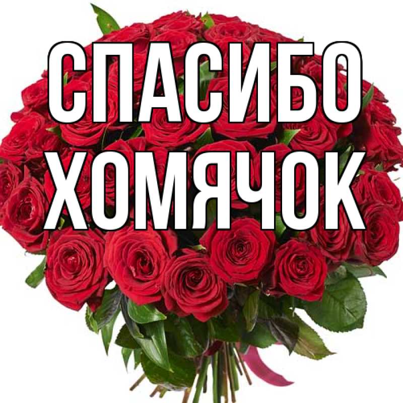 Открытка с именем, Хомячок, Спасибо