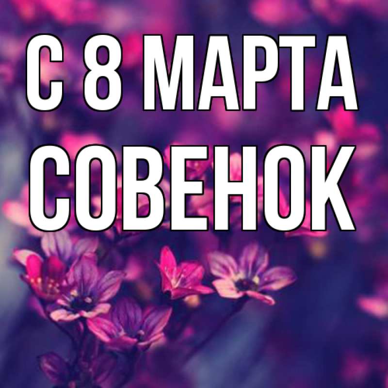 Картинка C 8 МАРТА, совенок