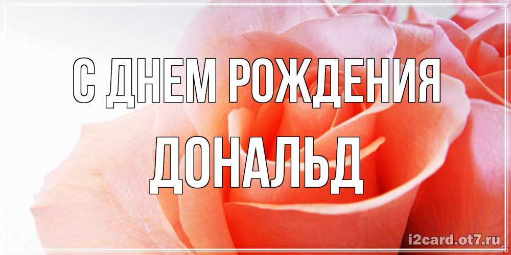 Открытка на каждый день с именем, Дональд С днем рождения розы для поздравления с днем рождения Прикольная открытка с пожеланием онлайн скачать бесплатно 