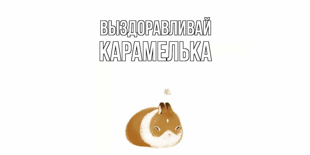 Открытка на каждый день с именем, Карамелька Выздоравливай морская свинка на открытке с пожеланиями не болеть Прикольная открытка с пожеланием онлайн скачать бесплатно 