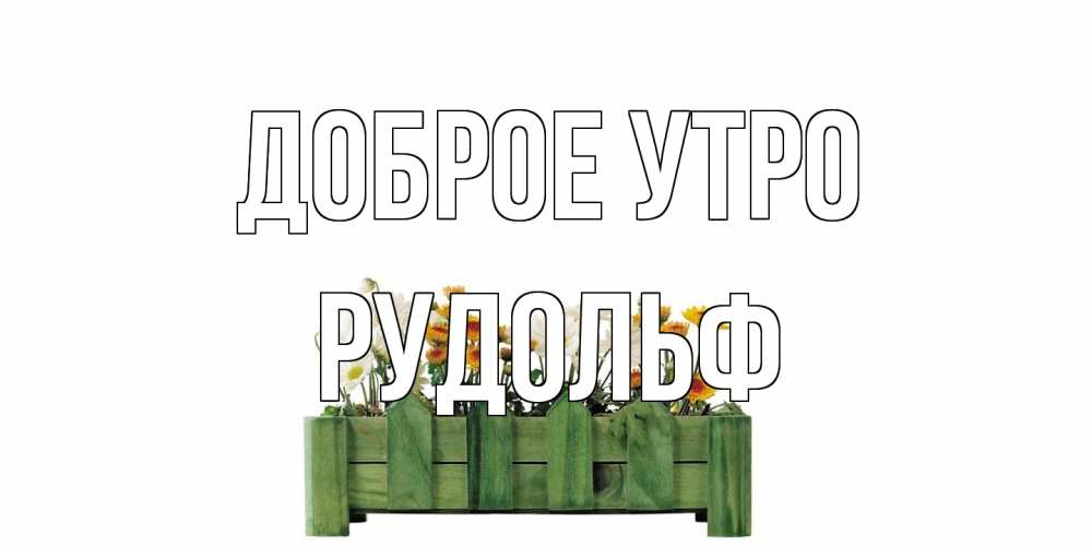 Открытка на каждый день с именем, Рудольф Доброе утро цветы Прикольная открытка с пожеланием онлайн скачать бесплатно 