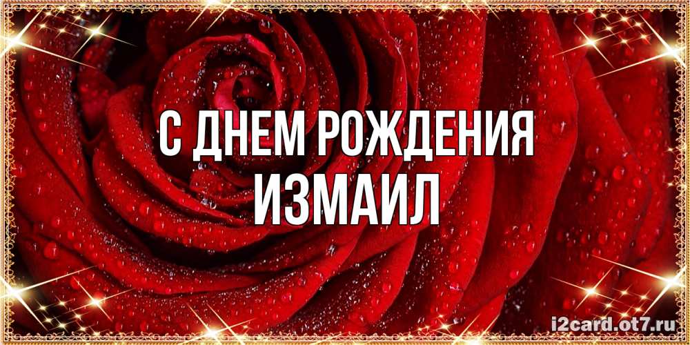 Открытка на каждый день с именем, Измаил С днем рождения роса на розе блестящая в лучах солнца Прикольная открытка с пожеланием онлайн скачать бесплатно 