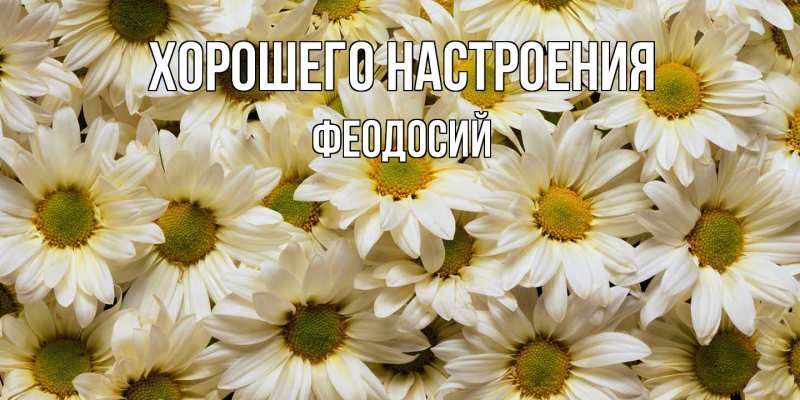 Картинка Хорошего настроения, Феодосий