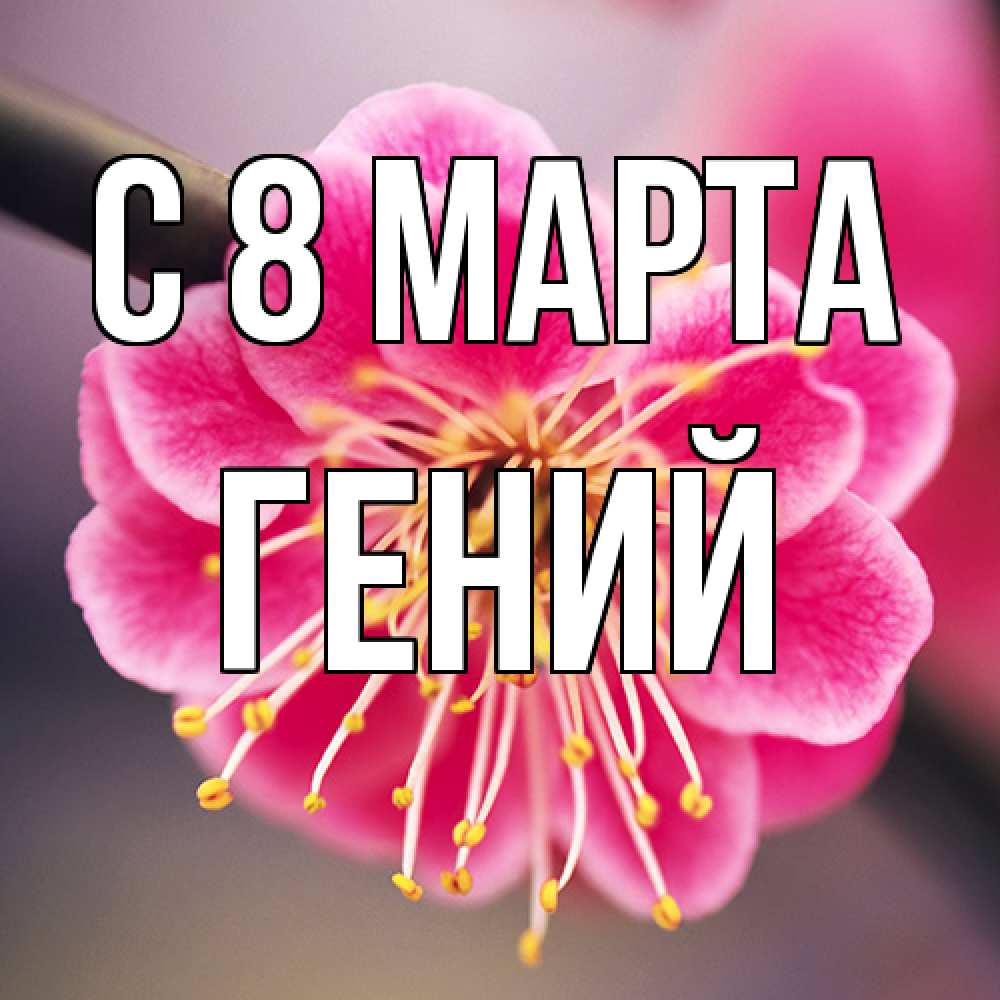 Открытка на каждый день с именем, Гений C 8 МАРТА цветы Прикольная открытка с пожеланием онлайн скачать бесплатно 