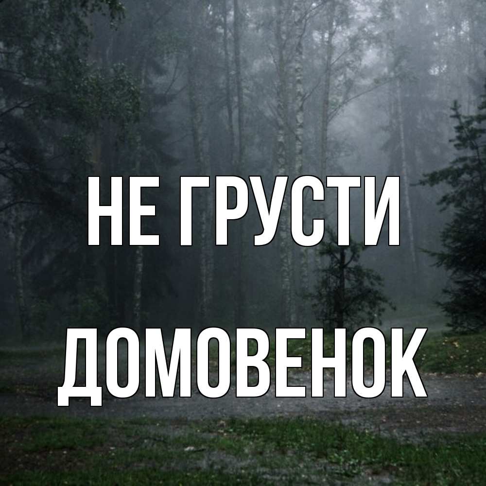 Открытка на каждый день с именем, Домовенок Не грусти осень Прикольная открытка с пожеланием онлайн скачать бесплатно 