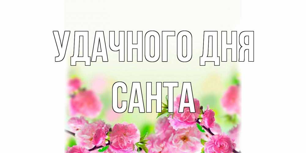 Открытка на каждый день с именем, Санта Удачного дня цветы Прикольная открытка с пожеланием онлайн скачать бесплатно 
