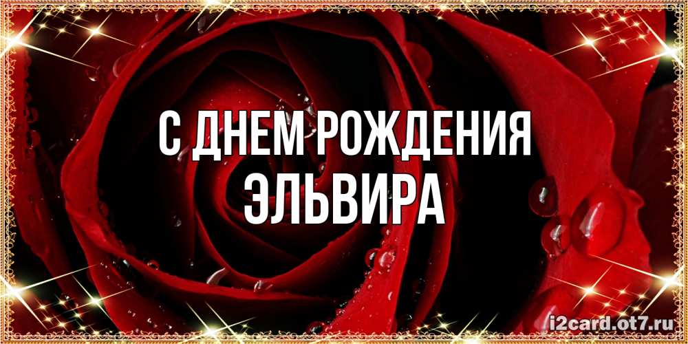 Открытка на каждый день с именем, Эльвира С днем рождения цветок в росе на день рождения Прикольная открытка с пожеланием онлайн скачать бесплатно 