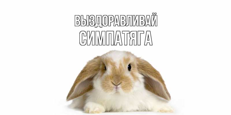 Картинка Выздоравливай, Симпатяга