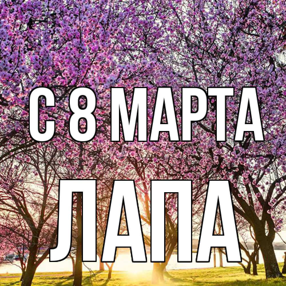 Открытка на каждый день с именем, Лапа C 8 МАРТА международный женский день Прикольная открытка с пожеланием онлайн скачать бесплатно 