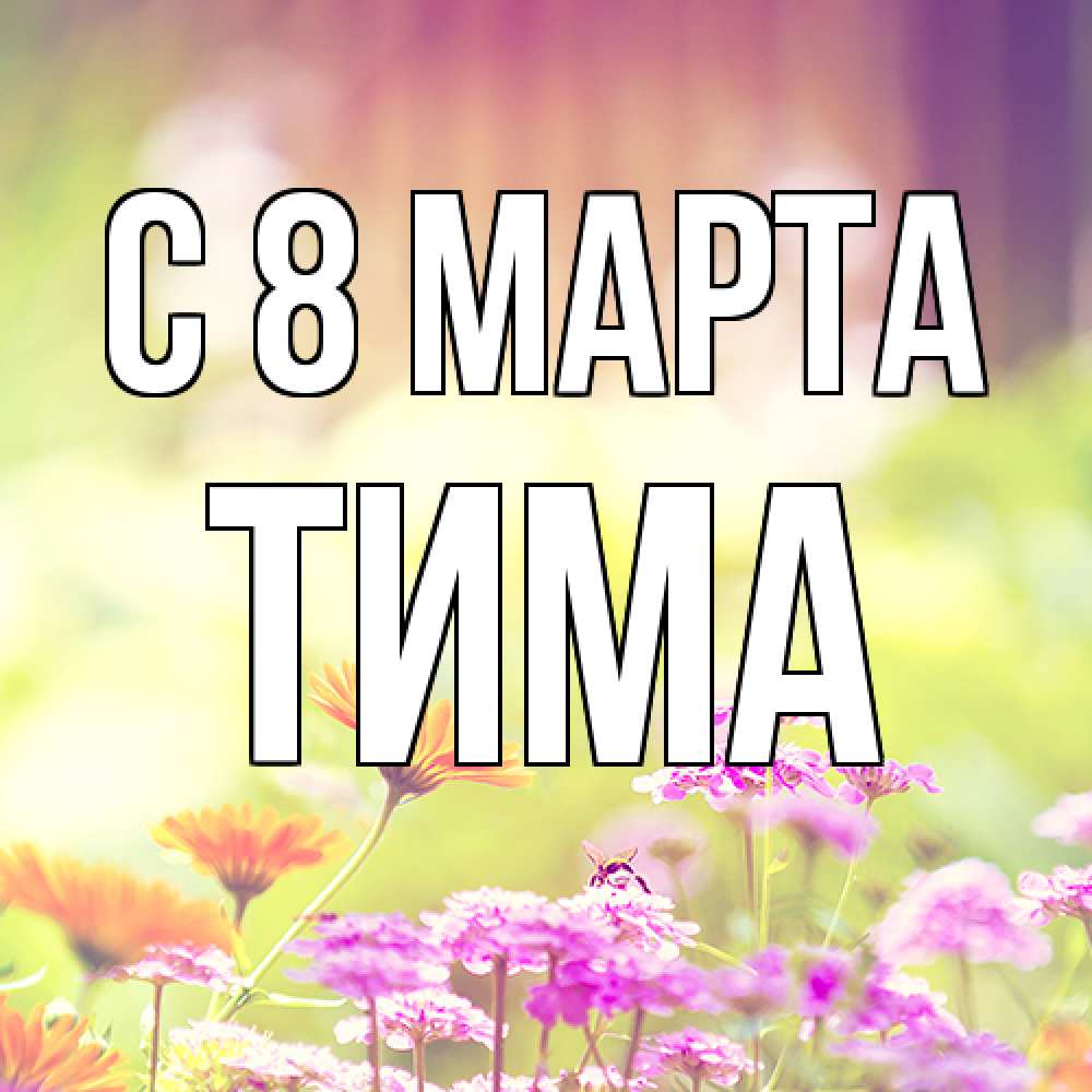Открытка на каждый день с именем, Тима C 8 МАРТА цветы весна Прикольная открытка с пожеланием онлайн скачать бесплатно 