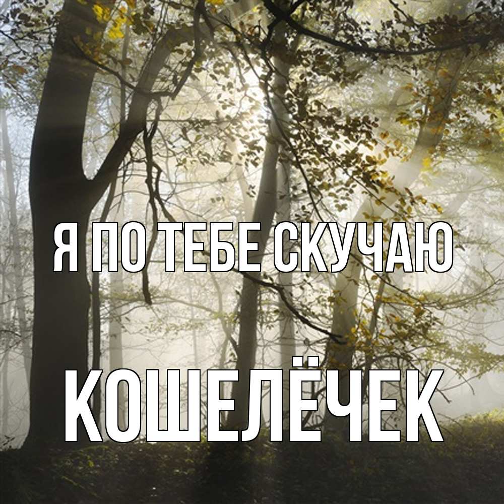 Открытка на каждый день с именем, кошелёчек Я по тебе скучаю грустно Прикольная открытка с пожеланием онлайн скачать бесплатно 