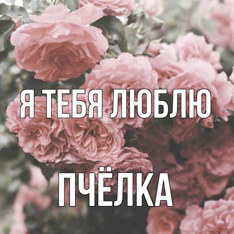 Открытка с именем, Пчёлка, Я тебя люблю