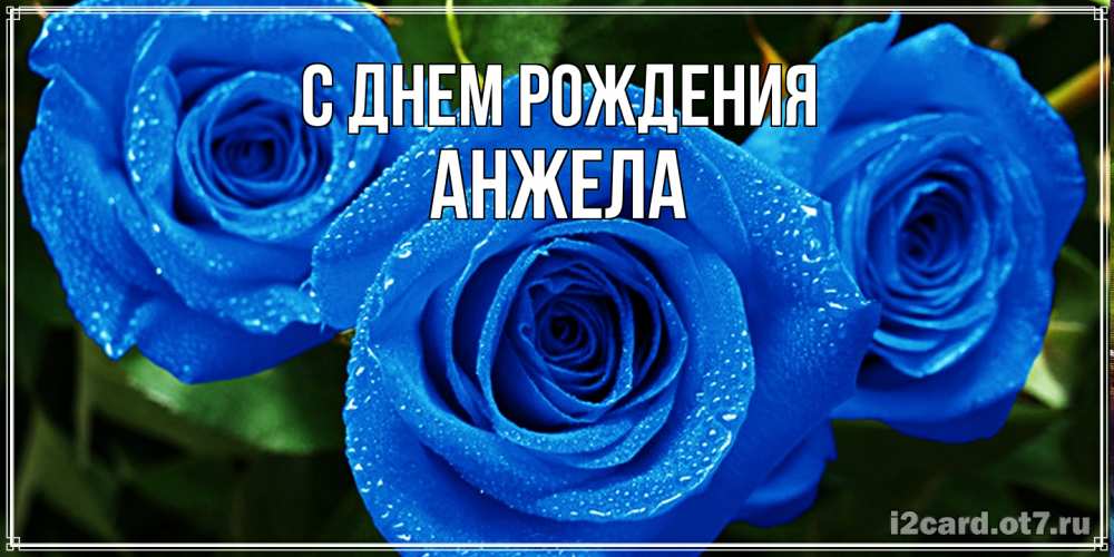 Открытка на каждый день с именем, Анжела С днем рождения розы с синим цветом Прикольная открытка с пожеланием онлайн скачать бесплатно 