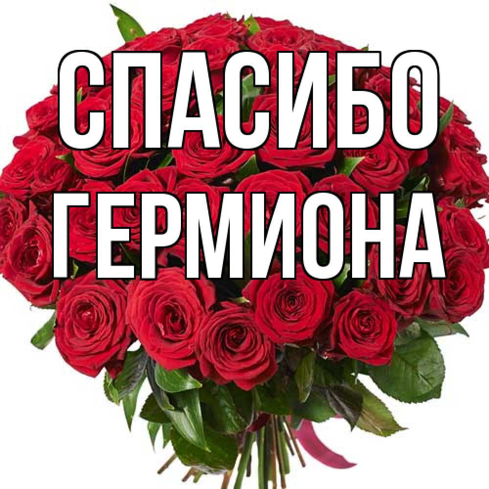 Открытка на каждый день с именем, Гермиона Спасибо букет красных роз Прикольная открытка с пожеланием онлайн скачать бесплатно 