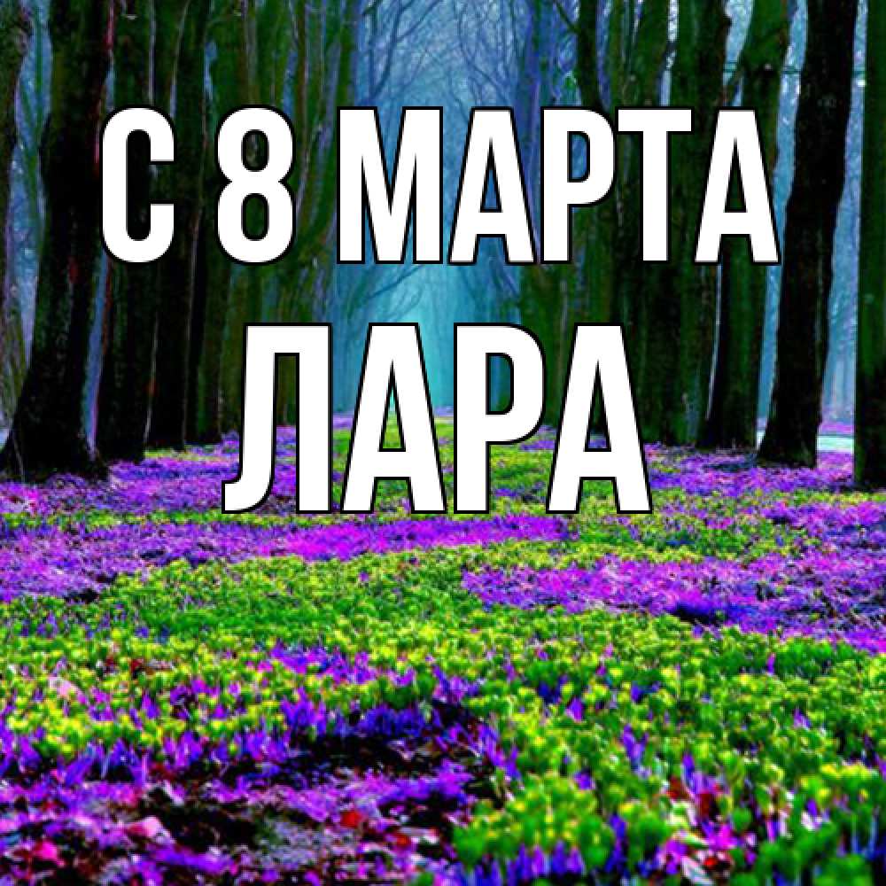 Открытка на каждый день с именем, Лара C 8 МАРТА фиолетовые цветы в лесу 1 Прикольная открытка с пожеланием онлайн скачать бесплатно 