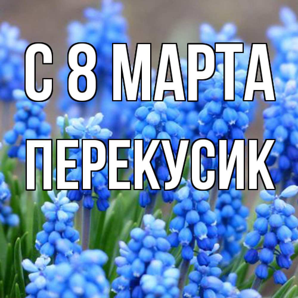Открытка на каждый день с именем, Перекусик C 8 МАРТА Поздравительная открытка для женщин с цветами на праздничную дату Прикольная открытка с пожеланием онлайн скачать бесплатно 