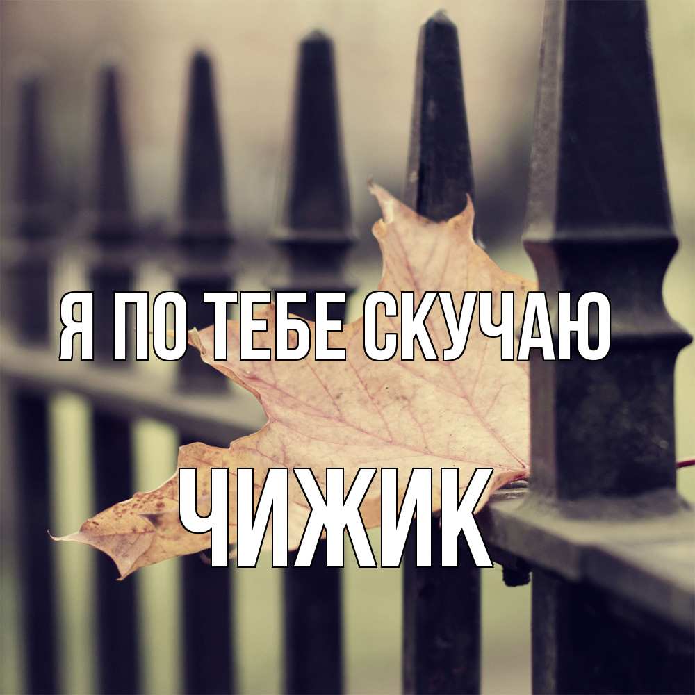 Открытка на каждый день с именем, Чижик Я по тебе скучаю очень скучно Прикольная открытка с пожеланием онлайн скачать бесплатно 
