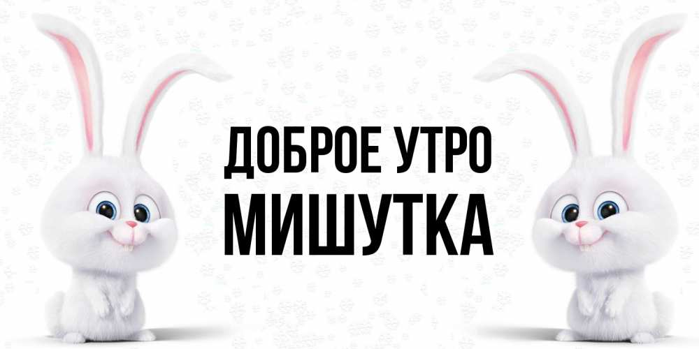 Открытка на каждый день с именем, Мишутка Доброе утро кролики с длинными ушками Прикольная открытка с пожеланием онлайн скачать бесплатно 