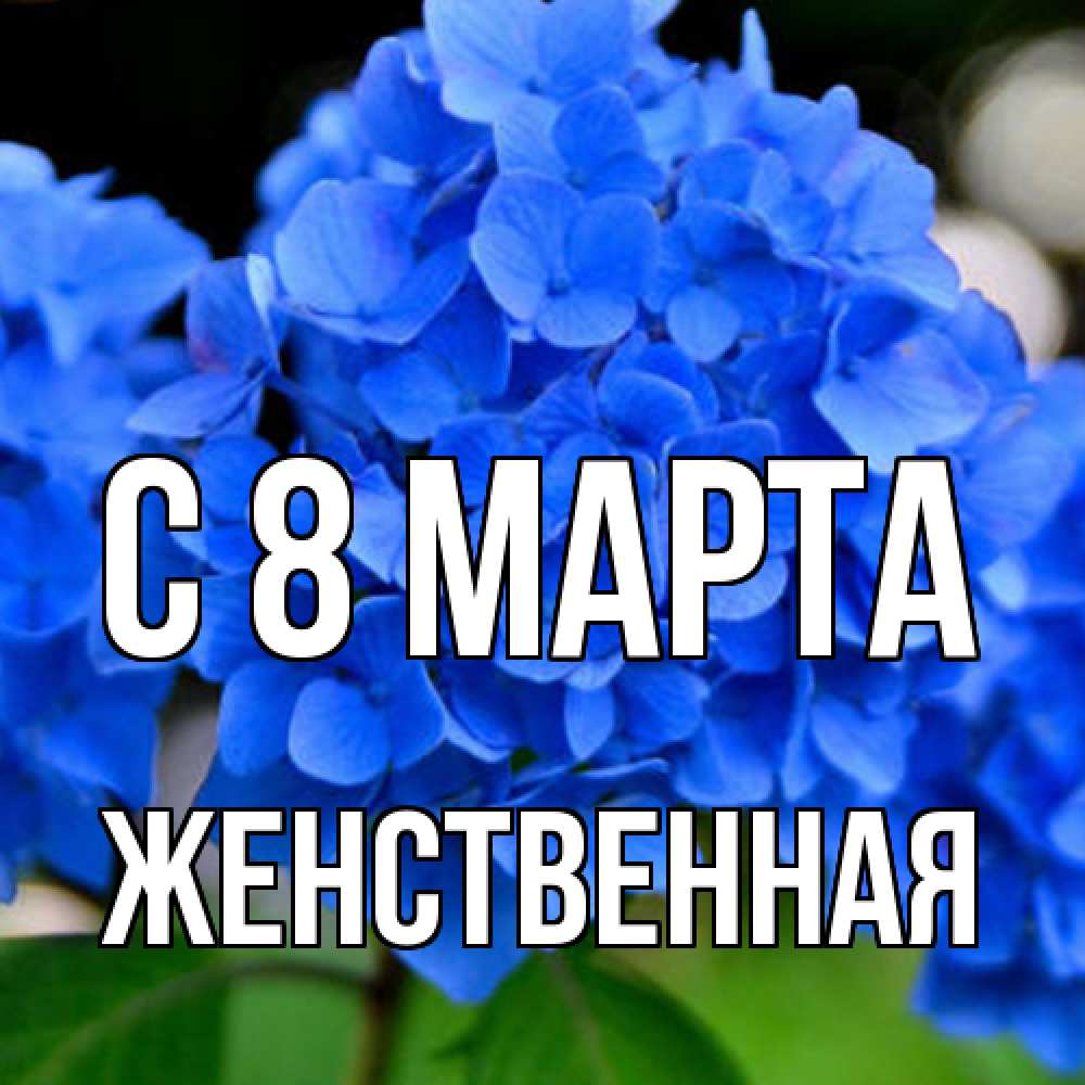 Открытка на каждый день с именем, женственная C 8 МАРТА синие цветы Прикольная открытка с пожеланием онлайн скачать бесплатно 