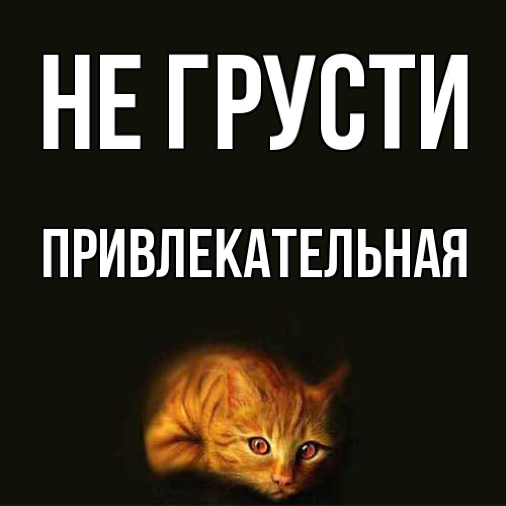 Открытка на каждый день с именем, привлекательная Не грусти лежащий кот в темноте Прикольная открытка с пожеланием онлайн скачать бесплатно 