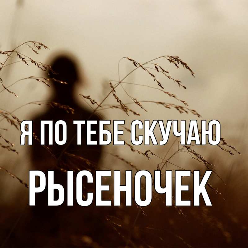 Картинка Я по тебе скучаю, Рысеночек