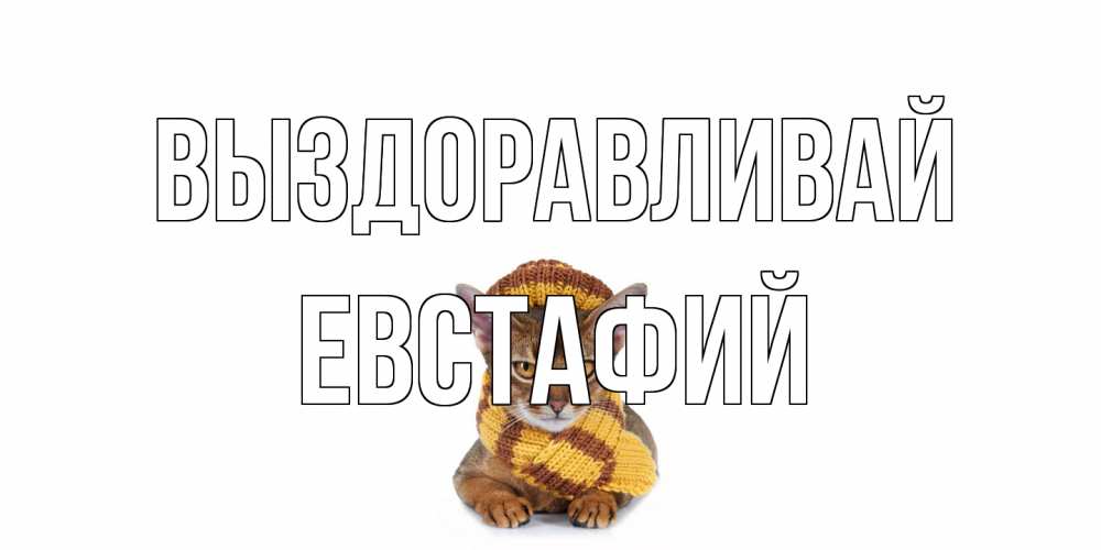 Открытка на каждый день с именем, Евстафий Выздоравливай родные не болейте Прикольная открытка с пожеланием онлайн скачать бесплатно 
