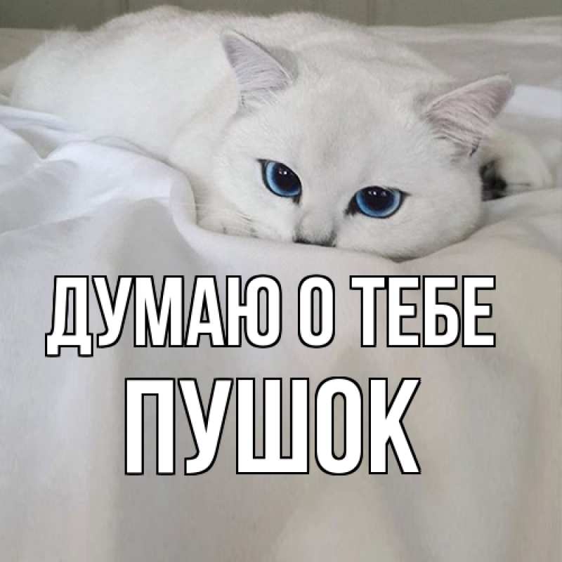 Открытка с именем, пушок, Думаю о тебе