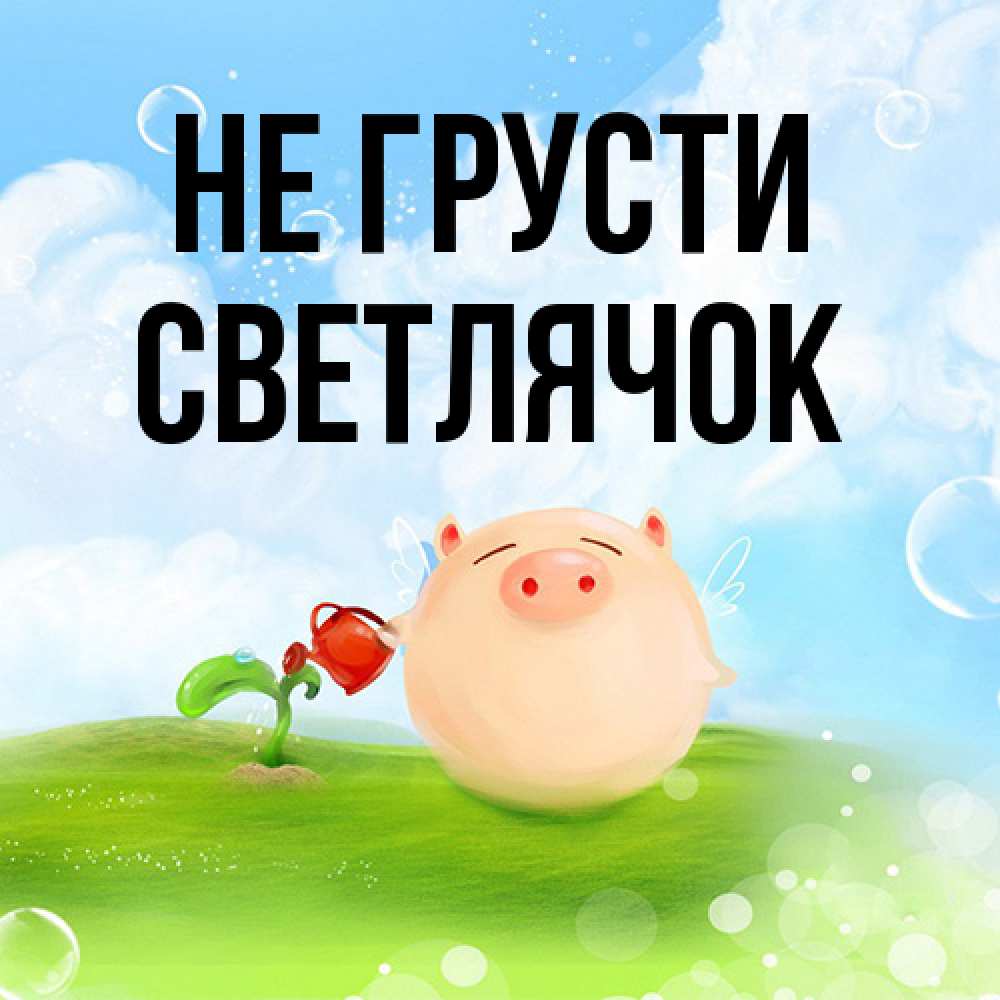 Открытка на каждый день с именем, Светлячок Не грусти поливает цветок порося Прикольная открытка с пожеланием онлайн скачать бесплатно 