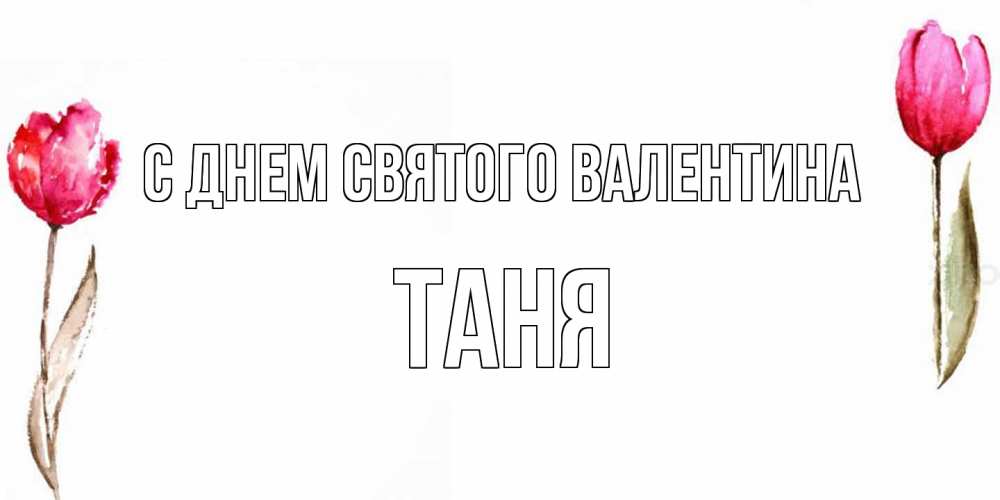 Открытка на каждый день с именем, Таня С днем Святого Валентина Открытки на день всех влюбленных с тюльпанами акварелью Прикольная открытка с пожеланием онлайн скачать бесплатно 
