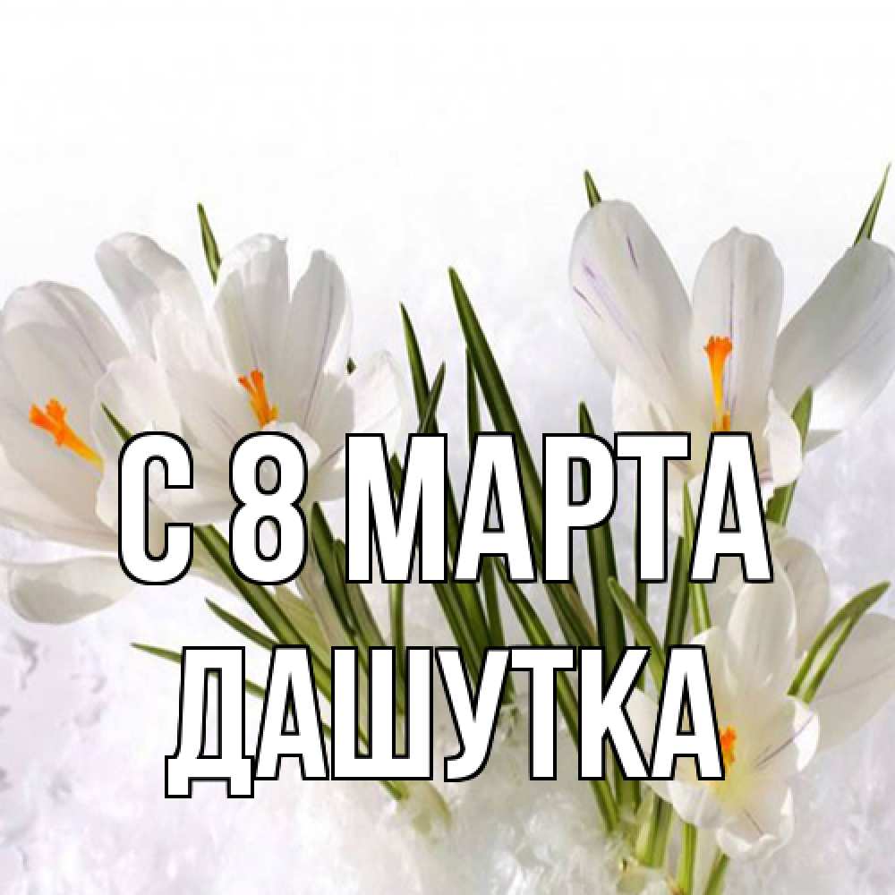 Открытка на каждый день с именем, Дашутка C 8 МАРТА под снегом Прикольная открытка с пожеланием онлайн скачать бесплатно 