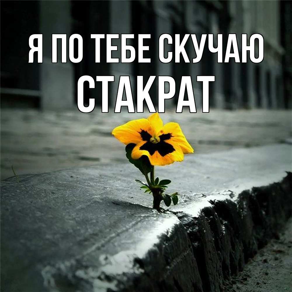 Открытка на каждый день с именем, Стакрат Я по тебе скучаю надеюсь будет лучше Прикольная открытка с пожеланием онлайн скачать бесплатно 
