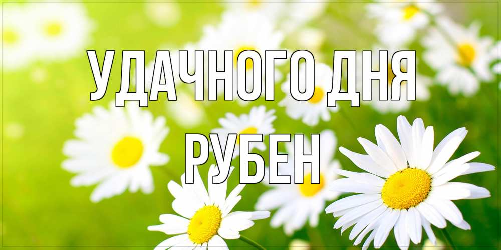 Открытка на каждый день с именем, Рубен Удачного дня открытка с ромашками на зеленом фоне Прикольная открытка с пожеланием онлайн скачать бесплатно 