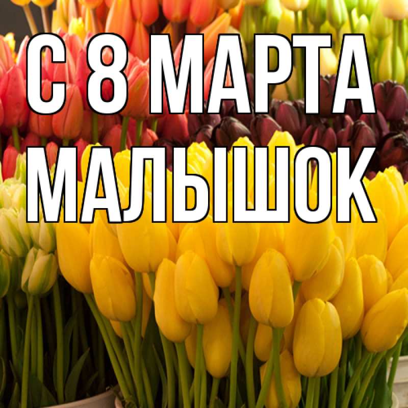 Картинка C 8 МАРТА, малышок