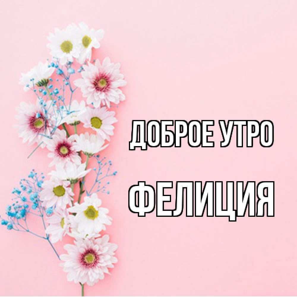 Открытка на каждый день с именем, Фелиция Доброе утро цветы с подписью Прикольная открытка с пожеланием онлайн скачать бесплатно 