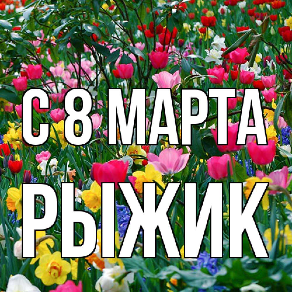 Открытка на каждый день с именем, рыжик C 8 МАРТА с международным женским днем поздравления для женщины Прикольная открытка с пожеланием онлайн скачать бесплатно 