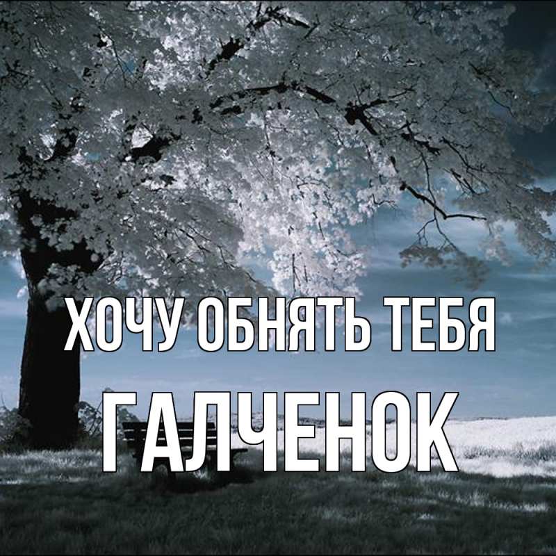 Картинка Хочу обнять тебя, Галченок