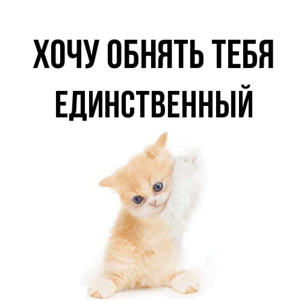 Открытка на каждый день с именем, Единственный Хочу обнять тебя я хочу очень скорее обнимаешек Прикольная открытка с пожеланием онлайн скачать бесплатно 
