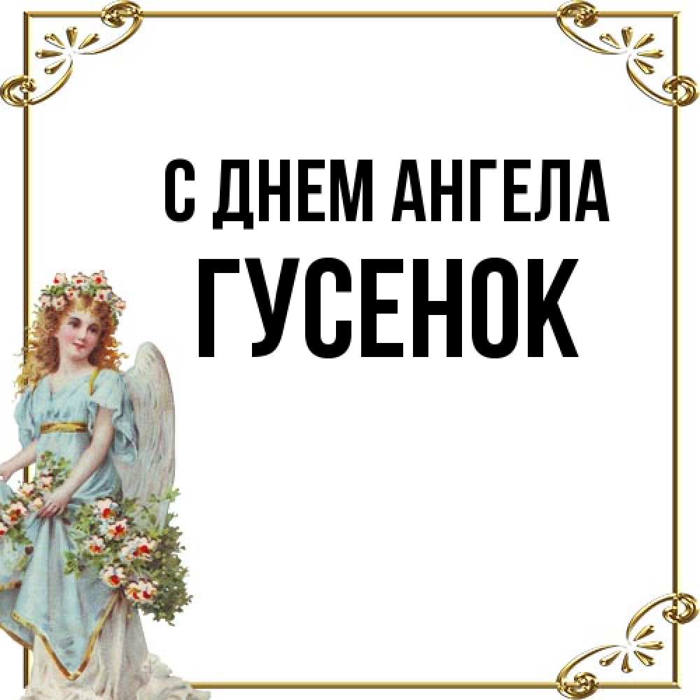 Открытка на каждый день с именем, гусенок С днем ангела с именинами от девушки ангела Прикольная открытка с пожеланием онлайн скачать бесплатно 