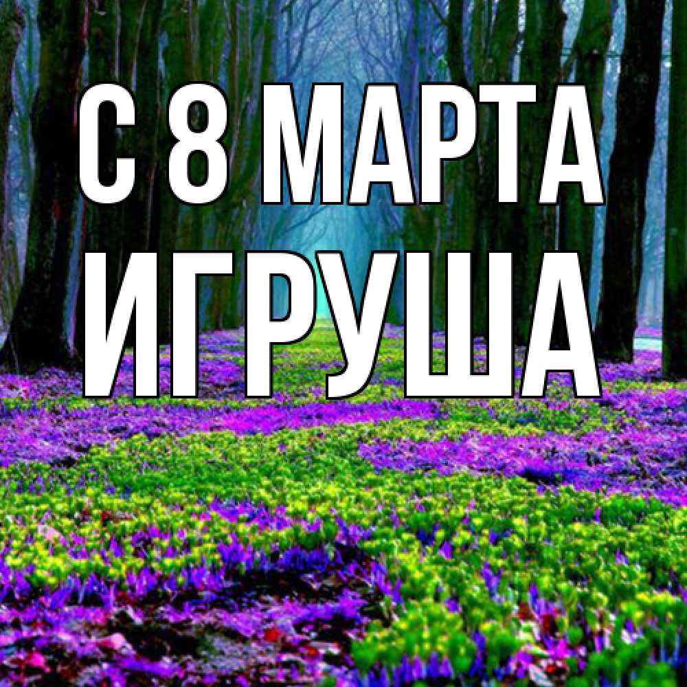 Открытка на каждый день с именем, Игруша C 8 МАРТА фиолетовые цветы в лесу 1 Прикольная открытка с пожеланием онлайн скачать бесплатно 