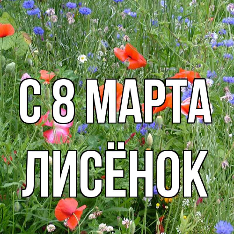 Картинка C 8 МАРТА, Лисёнок