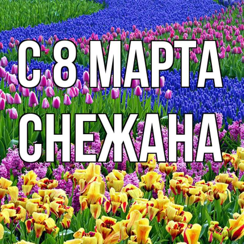 Картинка C 8 МАРТА, Снежана