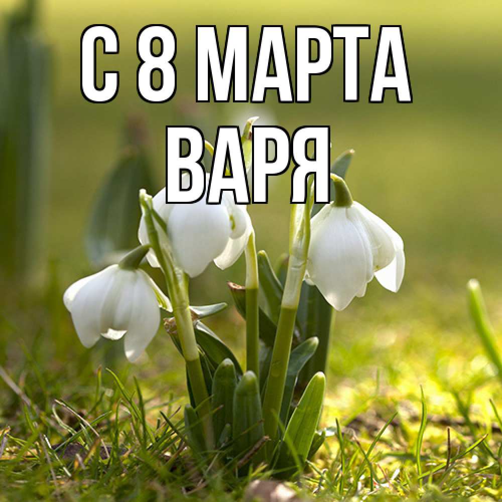Открытка на каждый день с именем, Варя C 8 МАРТА ранние цветы 2 Прикольная открытка с пожеланием онлайн скачать бесплатно 