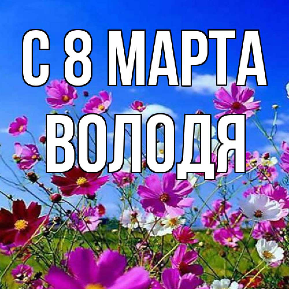 Открытка на каждый день с именем, Володя C 8 МАРТА цветы Прикольная открытка с пожеланием онлайн скачать бесплатно 