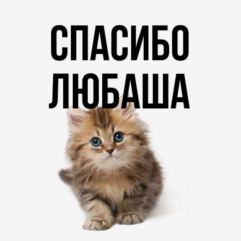Картинка Спасибо, Любаша